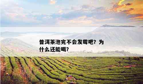 普洱茶泡完不会发霉吧？为什么还能喝？