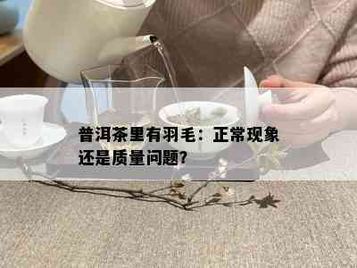 普洱茶里有羽毛：正常现象还是质量问题？