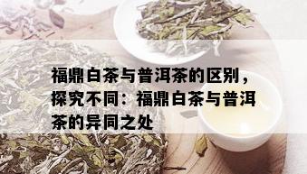 福鼎白茶与普洱茶的区别，探究不同：福鼎白茶与普洱茶的异同之处