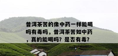 普洱茶苦的像中药一样能喝吗有吗，普洱茶苦如中药，真的能喝吗？是否有？