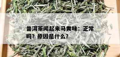 普洱茶闻起来马粪味：正常吗？原因是什么？