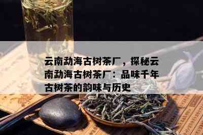 云南勐海古树茶厂，探秘云南勐海古树茶厂：品味千年古树茶的韵味与历史