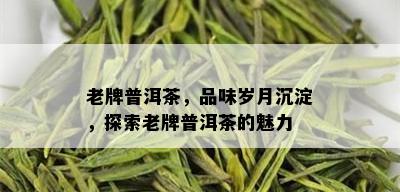 老牌普洱茶，品味岁月沉淀，探索老牌普洱茶的魅力