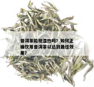 普洱茶能祛湿热吗？如何正确饮用普洱茶以达到更佳效果？