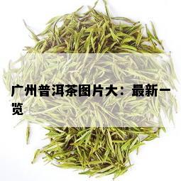 广州普洱茶图片大：最新一览