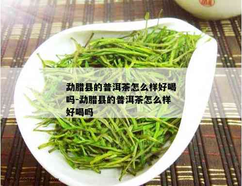 勐腊县的普洱茶怎么样好喝吗-勐腊县的普洱茶怎么样好喝吗