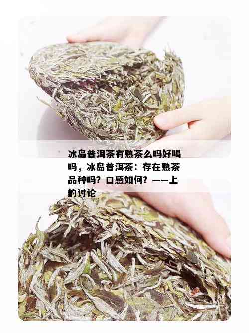 冰岛普洱茶有熟茶么吗好喝吗，冰岛普洱茶：存在熟茶品种吗？口感如何？——上的讨论