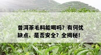 普洱茶毛料能喝吗？有何优缺点、是否安全？全揭秘！