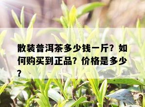 散装普洱茶多少钱一斤？如何购买到正品？价格是多少？