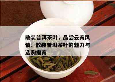 散装普洱茶叶，品尝云南风情：散装普洱茶叶的魅力与选购指南