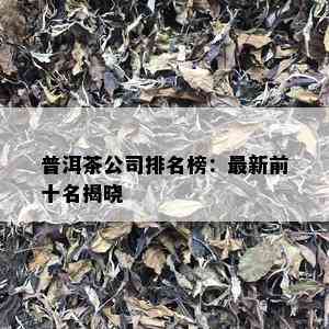 普洱茶公司排名榜：最新前十名揭晓