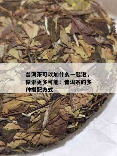 普洱茶可以加什么一起泡，探索更多可能：普洱茶的多种搭配方式