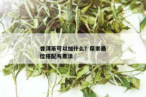 普洱茶可以加什么？探索更佳搭配与煮法