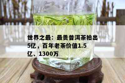 世界之最：最贵普洱茶拍出5亿，百年老茶价值1.5亿、1300万