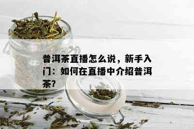 普洱茶直播怎么说，新手入门：如何在直播中介绍普洱茶？