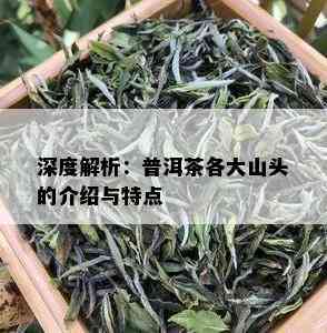 深度解析：普洱茶各大山头的介绍与特点