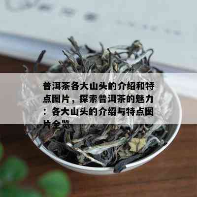 普洱茶各大山头的介绍和特点图片，探索普洱茶的魅力：各大山头的介绍与特点图片全览