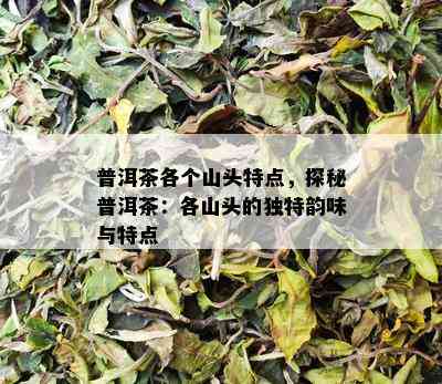 普洱茶各个山头特点，探秘普洱茶：各山头的独特韵味与特点