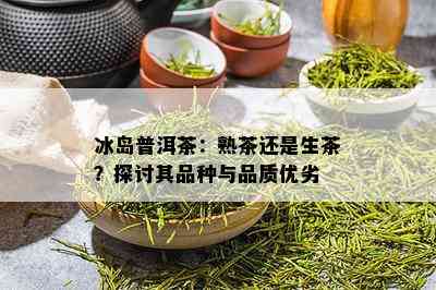 冰岛普洱茶：熟茶还是生茶？探讨其品种与品质优劣