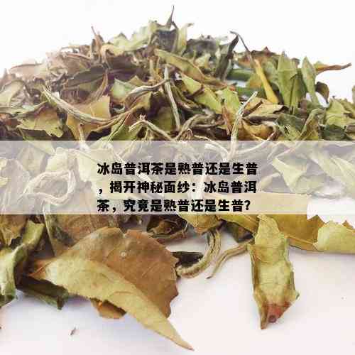 冰岛普洱茶是熟普还是生普，揭开神秘面纱：冰岛普洱茶，究竟是熟普还是生普？