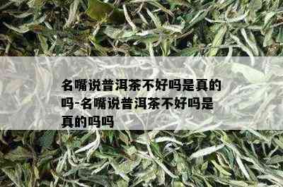 名嘴说普洱茶不好吗是真的吗-名嘴说普洱茶不好吗是真的吗吗