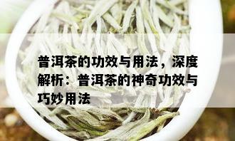 普洱茶的功效与用法，深度解析：普洱茶的神奇功效与巧妙用法