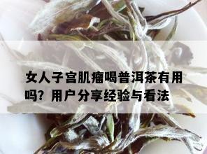 女人子宫肌瘤喝普洱茶有用吗？用户分享经验与看法