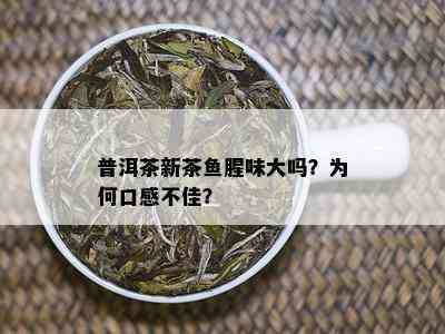 普洱茶新茶鱼腥味大吗？为何口感不佳？