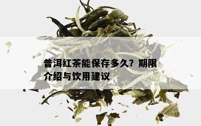 普洱红茶能保存多久？期限介绍与饮用建议