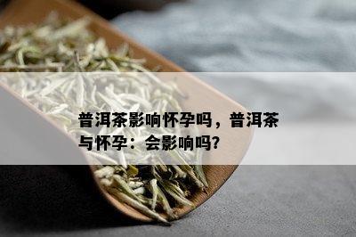 普洱茶影响怀孕吗，普洱茶与怀孕：会影响吗？