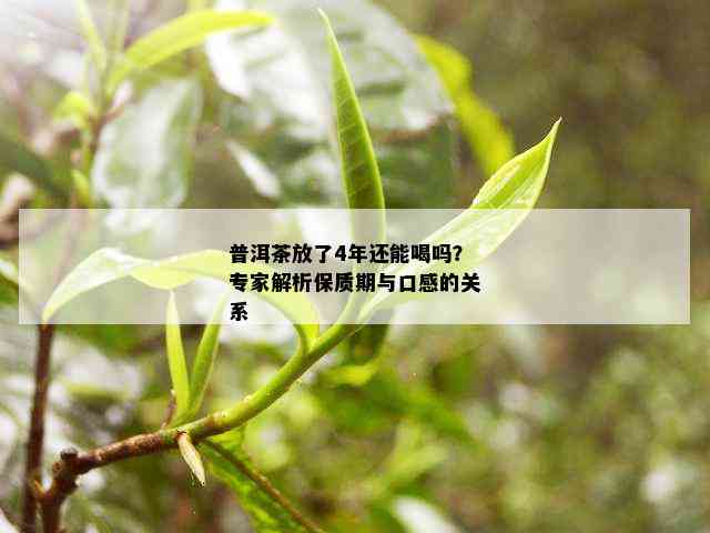 普洱茶放了4年还能喝吗？专家解析保质期与口感的关系