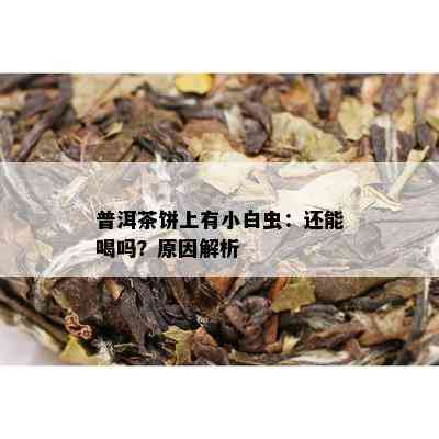 普洱茶饼上有小白虫：还能喝吗？原因解析