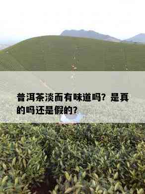 普洱茶淡而有味道吗？是真的吗还是假的？