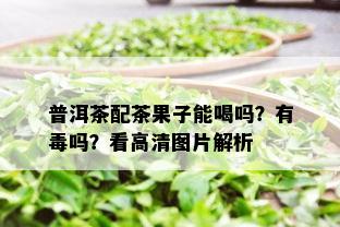 普洱茶配茶果子能喝吗？有吗？看高清图片解析