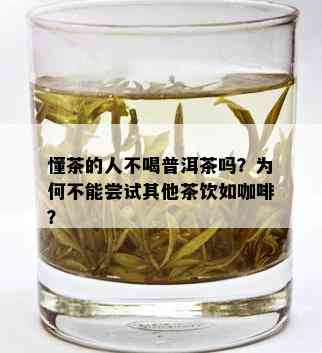 懂茶的人不喝普洱茶吗？为何不能尝试其他茶饮如咖啡？