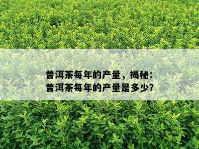 普洱茶每年的产量，揭秘：普洱茶每年的产量是多少？