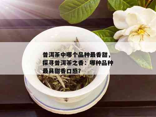 普洱茶中哪个品种最香甜，探寻普洱茶之香：哪种品种更具甜香口感？