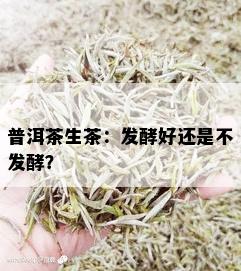 普洱茶生茶：发酵好还是不发酵？