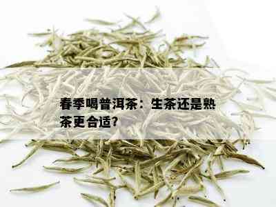 春季喝普洱茶：生茶还是熟茶更合适？