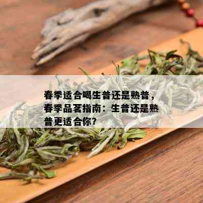 春季适合喝生普还是熟普，春季品茗指南：生普还是熟普更适合你？