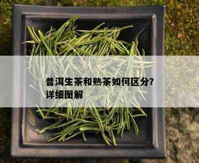 普洱生茶和熟茶如何区分？详细图解