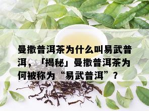 曼撒普洱茶为什么叫易武普洱，「揭秘」曼撒普洱茶为何被称为“易武普洱”？