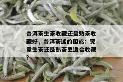 普洱茶生茶收藏还是熟茶收藏好，普洱茶迷的困惑：究竟生茶还是熟茶更适合收藏？