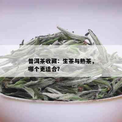 普洱茶收藏：生茶与熟茶，哪个更适合？