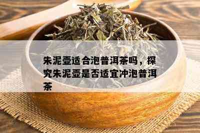 朱泥壶适合泡普洱茶吗，探究朱泥壶是否适宜冲泡普洱茶