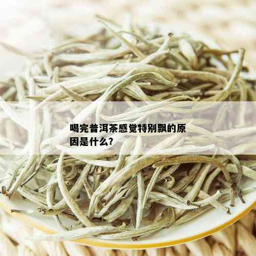 喝完普洱茶感觉特别飘的原因是什么？