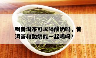 喝普洱茶可以喝酸奶吗，普洱茶和酸奶能一起喝吗？