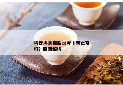 喝普洱茶血脂没降下来正常吗？原因解析