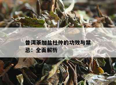 普洱茶加盐杜仲的功效与禁忌：全面解析