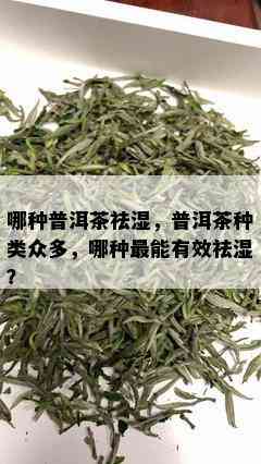 哪种普洱茶祛湿，普洱茶种类众多，哪种最能有效祛湿？